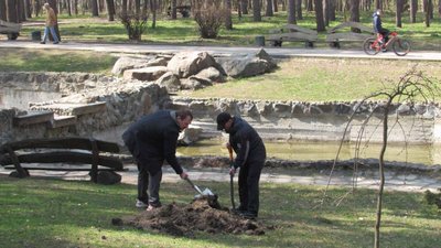 Дерева вибирали красиві, щоб радували людей: у Черкасах волонтери долучилися до Всесвітньої акції Дерева вибирали красиві, щоб радували людей: у Черкасах волонтери долучилися до Всесвітньої акції
