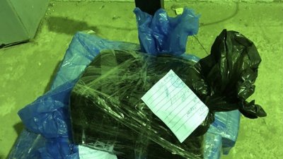 На Одещині викрили міжнародний канал контрабанди кокаїну до ЄС — ДПСУ На Одещині викрили міжнародний канал контрабанди кокаїну до ЄС — ДПСУ