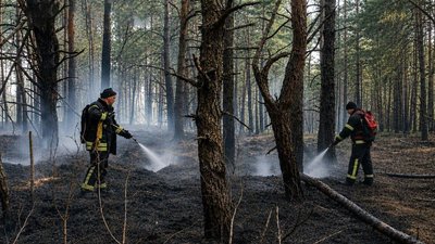 лісова пожежа, російські обстріли, атака безпілотниками, ДСНС