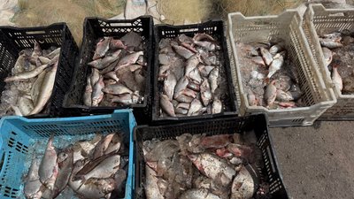 На Кременчуцькому водосховищі виявили понад 1,3 кілометрів браконьєрських сіток