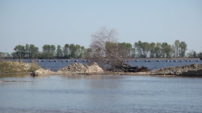 Висока вода: у селі на Черкащині Дніпро підмиває обійстя. Чи є загроза для жителів