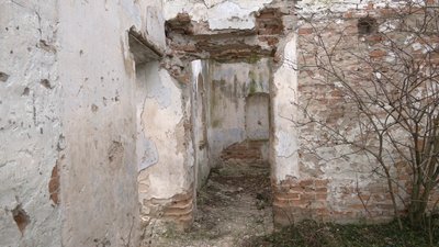 Толока в Симонові