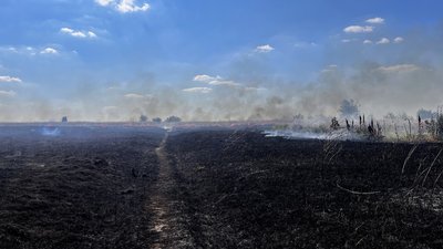 У Черкасах горить поле поблизу ТРЦ