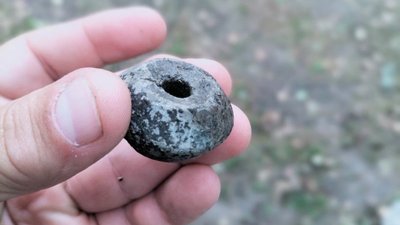 Відпрацювали 31-й сезон: що знайшли археологи у Хрінниках на Рівненщині Відпрацювали 31-й сезон: що знайшли археологи у Хрінниках на Рівненщині