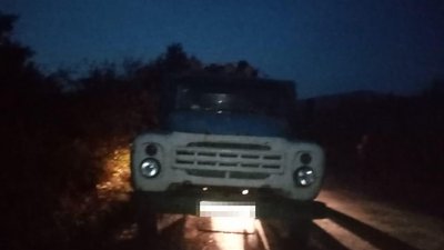 Вантажний автомобіль з нелегальною деревиною затримали на Іршавщині