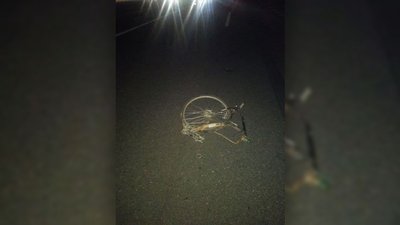 Відірвало ногу: у Козелецькому районі під колесами автівки загинула жінка