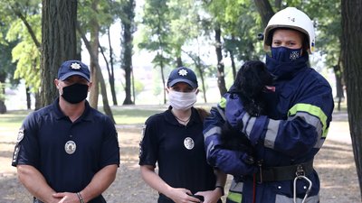 У Кременчуці фотографували безпритульних тварин та шукали їм дім