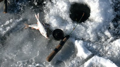 "Не можна виходити на лід менше 5 см": як рибалять узимку на гідропарку у Рівному "Не можна виходити на лід менше 5 см": як рибалять узимку на гідропарку у Рівному