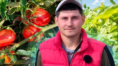 фермери Миколаївщини розповіли, чи вигідно вирощувати овочі