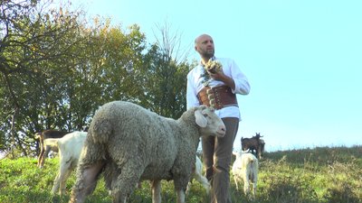 Прикарпатський вівчар розповів, коли і як стригти овець. СУСПІЛЬНЕ | ВІДЕОНОВИНИ