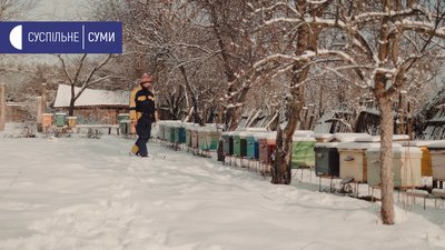 Переїхали в село та зайнялися бджільництвом: історія дауншифтерів із Сумщини Переїхали в село та зайнялися бджільництвом: історія дауншифтерів із Сумщини