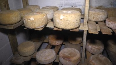 За основу при виготовленні своїх сирів чоловік бере традиційні рецепти італійських, французьких і голландських сирів. Фото: Суспільне.