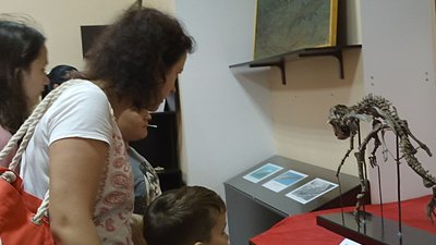 Жив сорок мільйонів років тому – скелет динозавра вперше експонується в краєзнавчому музеї Житомира