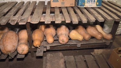 Зоопарк у Черкасах готується до зими Зоопарк у Черкасах готується до зими