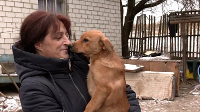 Останні жителі села Ясна Поляна, що на прикордонні Чернігівщини, стали переселенцями