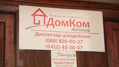 У Житомирі розростається борщівник