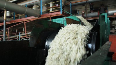 600 тисяч тон цукру виробили заводи Вінниччини