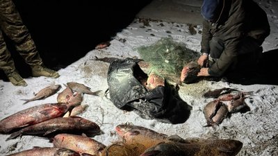 Риба, Карачунівське водосховище, порушник, рибпатруль