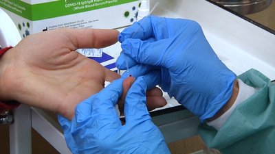 40 відсотків працівників шкіл Житомира або хворіють на коронавірус, або вже перехворіли