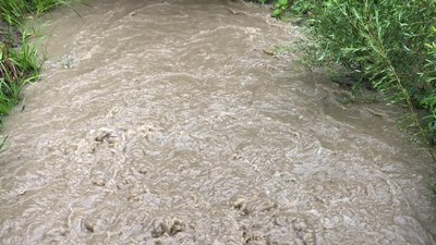 Підняття води у гірському потічку Підняття води у гірському потічку