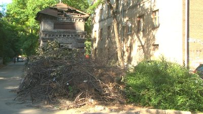 У Запоріжжі подвір'я перетворилося на звалище