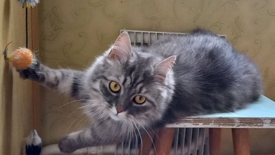 Тиждень Незалежності: Миколаївщина у фото