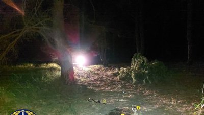 Вбивство відпочивальника у лісі на Харківщині: для обвинувачуваного вимагають довічного ув'язнення