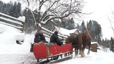 Чоловік живу на Верховинщині у селі Білоберізка Чоловік живу на Верховинщині у селі Білоберізка