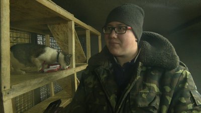 День волонтера: рівняни завезли допомогу в притулок для котів і собак День волонтера: рівняни завезли допомогу в притулок для котів і собак