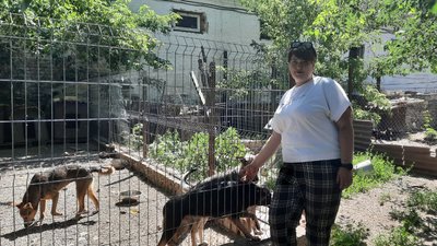 В гуртожитку у Кропивницькому собака просидів без води та їжі 10 днів В гуртожитку у Кропивницькому собака просидів без води та їжі 10 днів