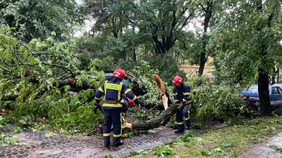 Знеструмлення, підтоплення та повалені дерева. Наслідки негоди у Львові Знеструмлення, підтоплення та повалені дерева. Наслідки негоди у Львові