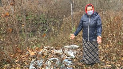 Сумчани півроку просять прибрати звалище нечистот на Набережній р. Стрілки Сумчани півроку просять прибрати звалище нечистот на Набережній р. Стрілки