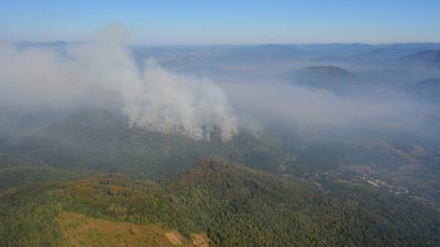 На Закарпатті понад добу триває ліквідація лісової пожежі. До гасіння залучили літаки та гелікоптери