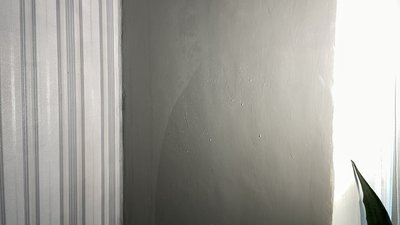 Вода та пліснява на стінах Вода та пліснява на стінах