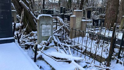 На Янівському цвинтарі у Львові є понад 220 аварійних дерев На Янівському цвинтарі у Львові є понад 220 аварійних дерев