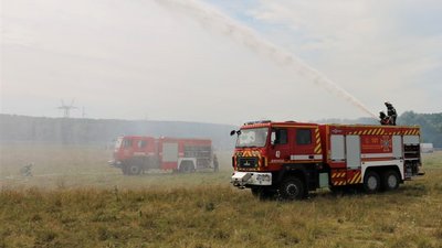За тиждень на Харківщині вигоріло близько 100 га в екосистемах — ДСНС
