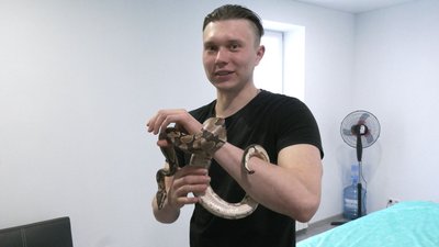 Екзотичний масаж: у Володимирі чоловік розминає людей королівським пітоном Екзотичний масаж: у Володимирі чоловік розминає людей королівським пітоном