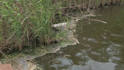 Хто відповість за забруднення річки Татарки на Дніпропетровщині (репортаж)