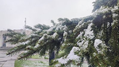 Сніг у Златополі