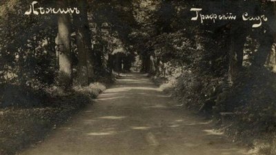 Графський парк Графський парк