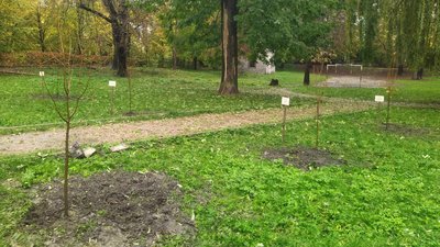 У Львові висадили липову алею на честь загиблих випускників університету ветеринарної медицини