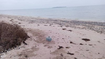 Небезпека у морі. Військовослужбовці ВМС в акваторії Миколаївщини виявляють міни різних типів Небезпека у морі. Військовослужбовці ВМС в акваторії Миколаївщини виявляють міни різних типів