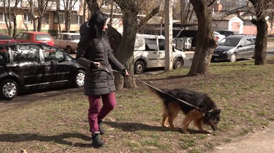 Вісім років очікування: черкаський "хатіко" знайшов родину Вісім років очікування: черкаський "хатіко" знайшов родину