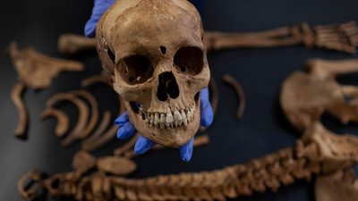 вампіри у польщі вампіри у польщі