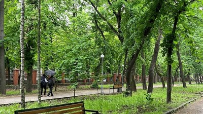 Похолодання на Кіровоградщині – погіршення погоди з 27 по 30 травня – Суспільне