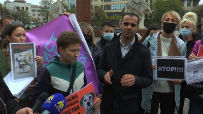 Франківці біля адмінбудинку вимагали знайти винних в отруєнні собак Франківці біля адмінбудинку вимагали знайти винних в отруєнні собак