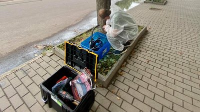 У Житомирі лікують каштани