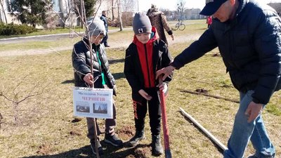 В місті на Волині висадили 150 дерев у пам'ять про загиблих у війні українців