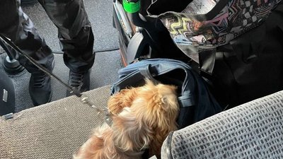 У пасажирському автобусі, що прямував з Польщі, знайшли понад 6 тисяч нарковмісних таблеток У пасажирському автобусі, що прямував з Польщі, знайшли понад 6 тисяч нарковмісних таблеток