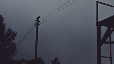 Наслідки негоди на Франківщині: повалені дерева та 14 населених пунктів без електроенергії